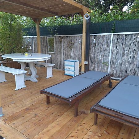 Domusauroom, Relax Nel Cuore Della Versilia - Pet Friendly Viareggio Eksteriør billede