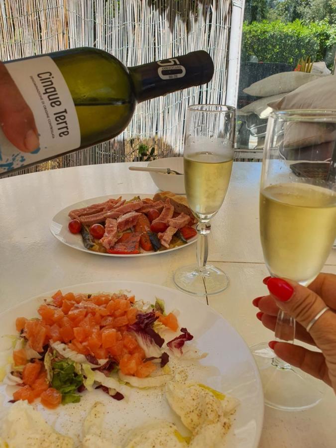 Domusauroom, Relax Nel Cuore Della Versilia - Pet Friendly Viareggio Eksteriør billede