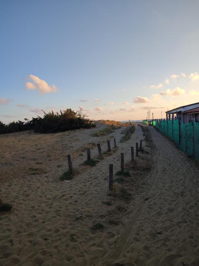 Domusauroom, Relax Nel Cuore Della Versilia - Pet Friendly Viareggio Eksteriør billede