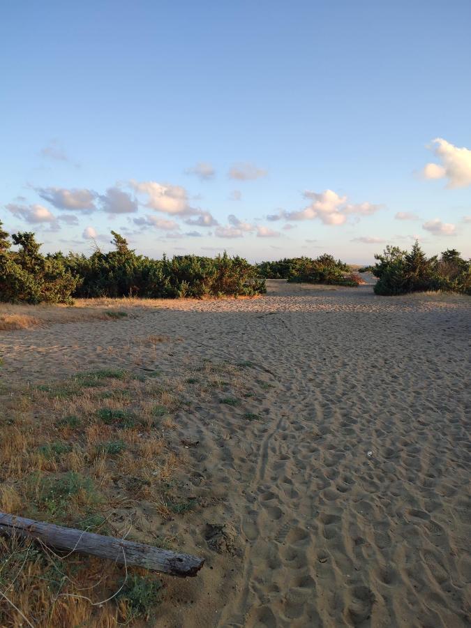 Domusauroom, Relax Nel Cuore Della Versilia - Pet Friendly Viareggio Eksteriør billede