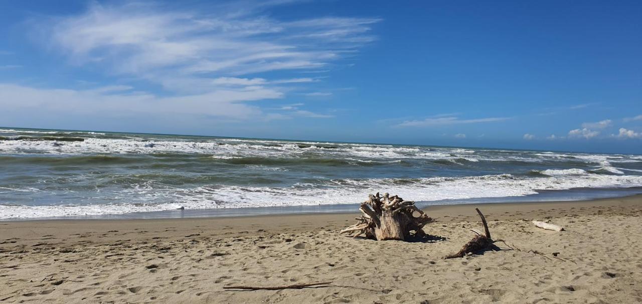 Domusauroom, Relax Nel Cuore Della Versilia - Pet Friendly Viareggio Eksteriør billede