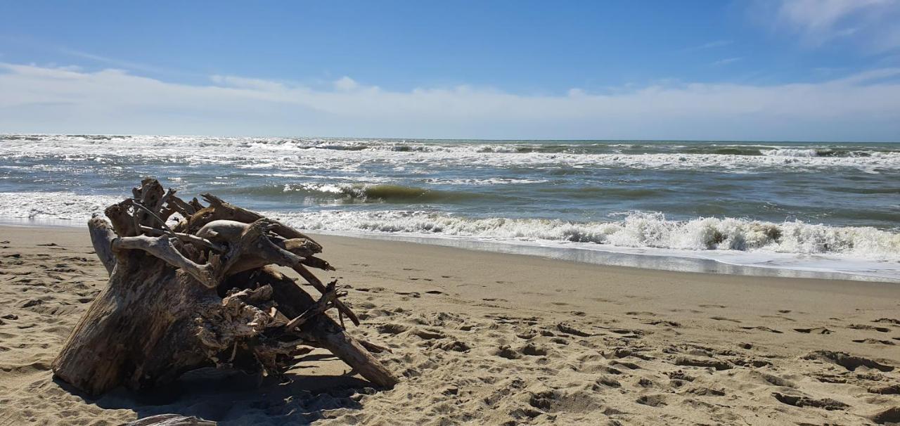 Domusauroom, Relax Nel Cuore Della Versilia - Pet Friendly Viareggio Eksteriør billede