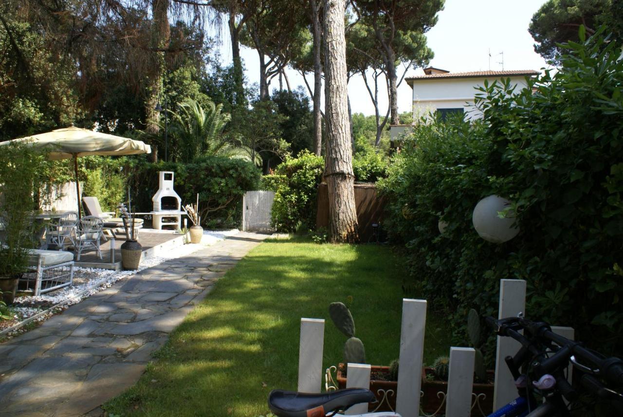 Domusauroom, Relax Nel Cuore Della Versilia - Pet Friendly Viareggio Eksteriør billede