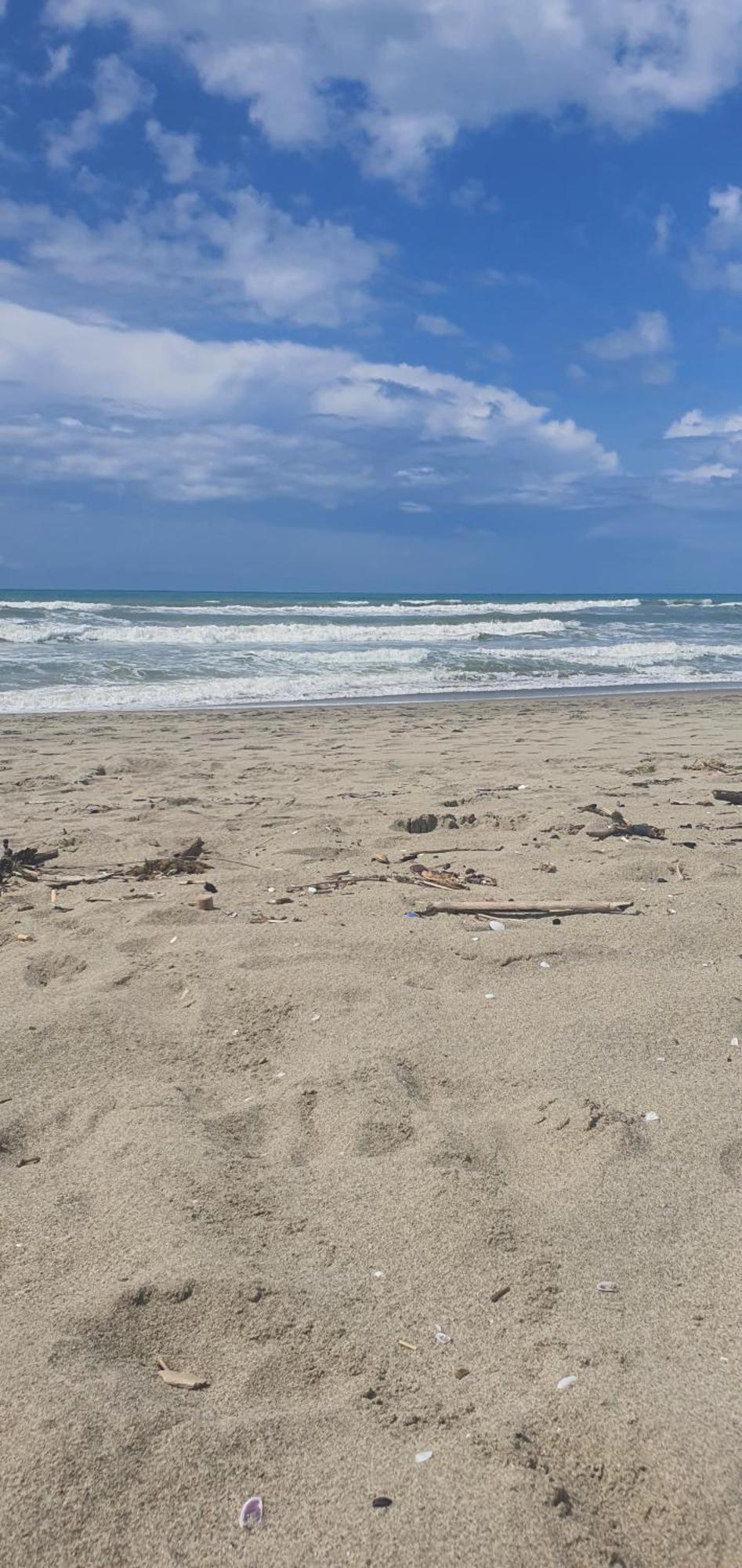 Domusauroom, Relax Nel Cuore Della Versilia - Pet Friendly Viareggio Eksteriør billede
