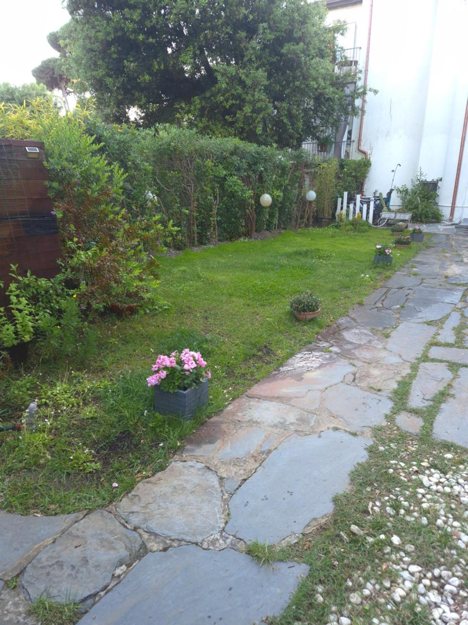 Domusauroom, Relax Nel Cuore Della Versilia - Pet Friendly Viareggio Eksteriør billede