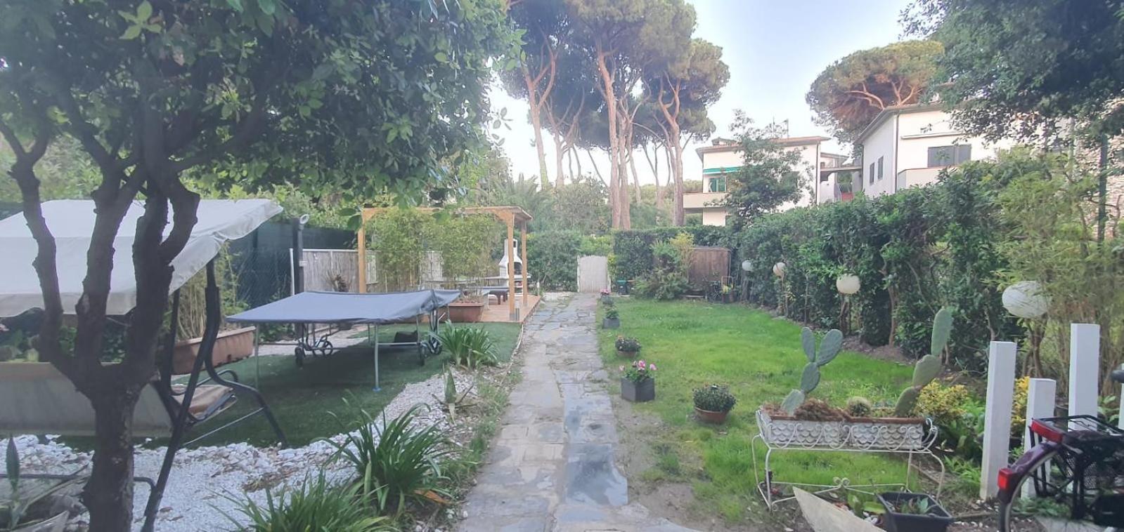 Domusauroom, Relax Nel Cuore Della Versilia - Pet Friendly Viareggio Eksteriør billede