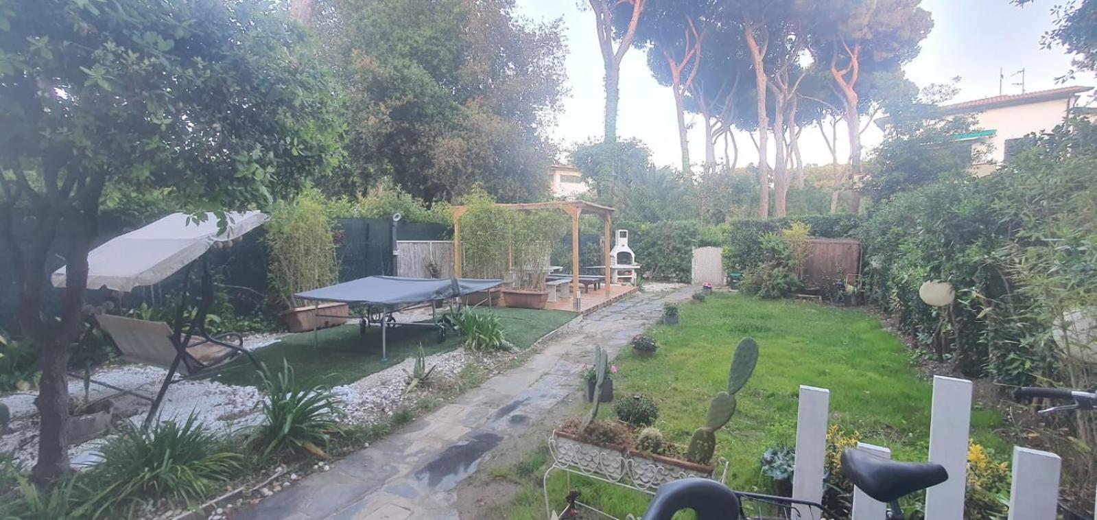 Domusauroom, Relax Nel Cuore Della Versilia - Pet Friendly Viareggio Eksteriør billede