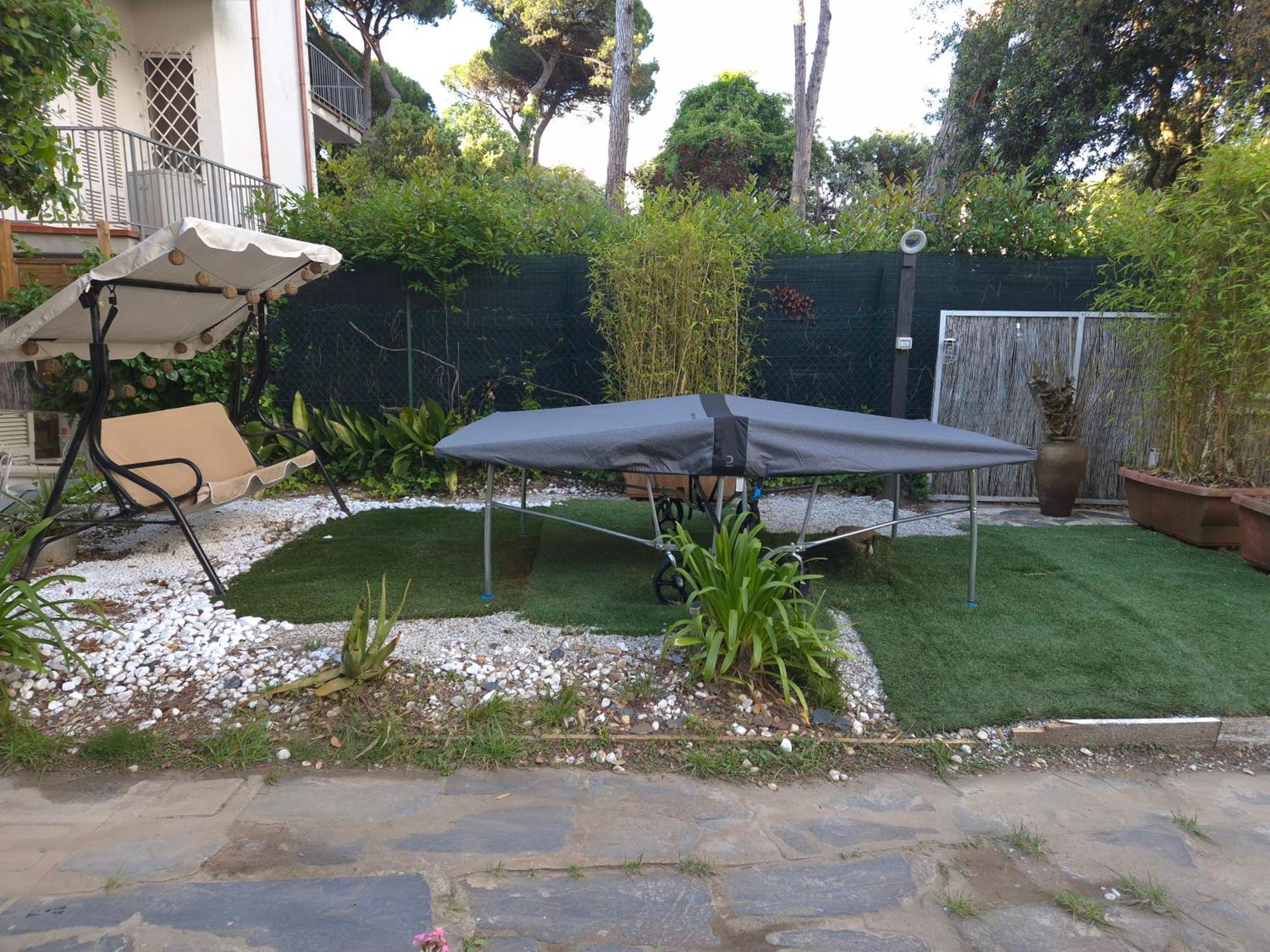Domusauroom, Relax Nel Cuore Della Versilia - Pet Friendly Viareggio Eksteriør billede